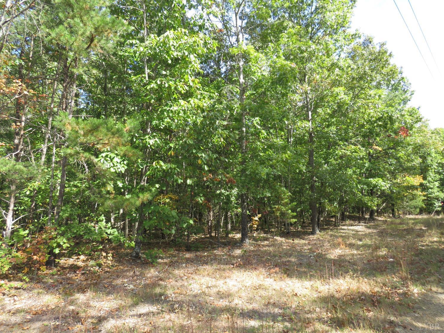 14324 Red House Road Concord, VA 24538 - Photo 25 of 90 a view of a yard with a tree