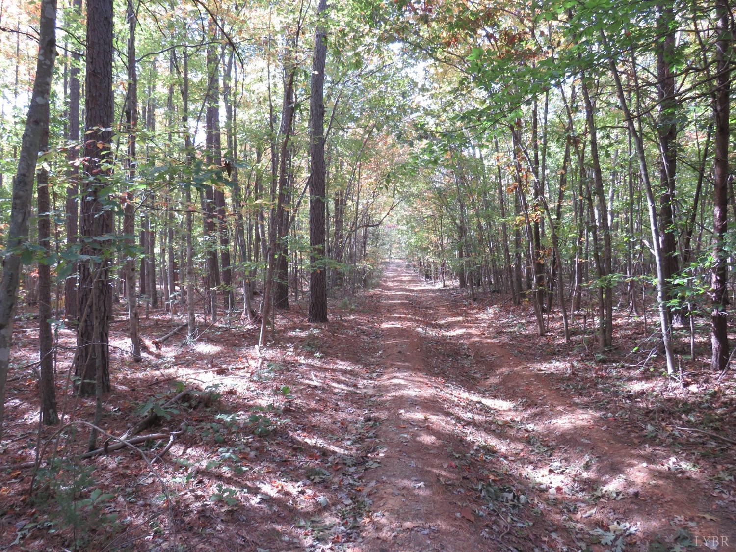 14324 Red House Road Concord, VA 24538 - Photo 33 of 90