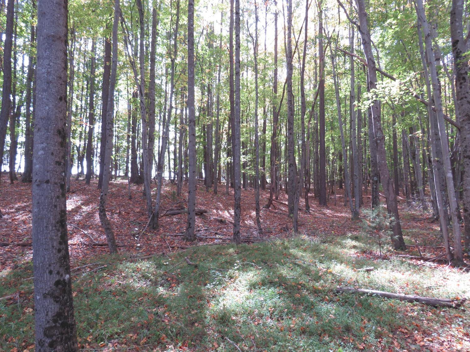 14324 Red House Road Concord, VA 24538 - Photo 34 of 90