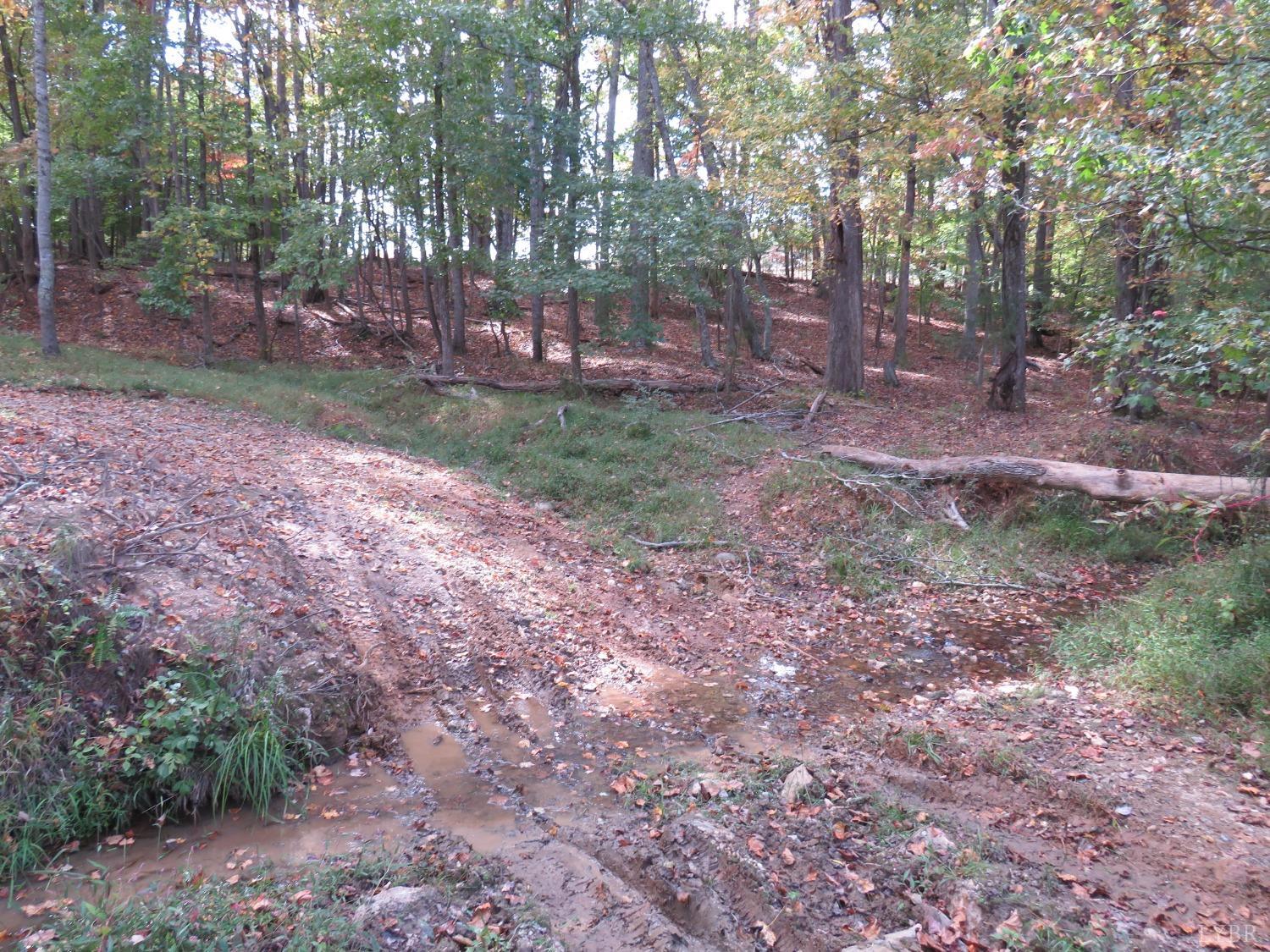 14324 Red House Road Concord, VA 24538 - Photo 36 of 90