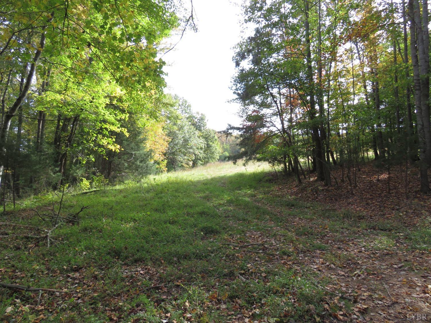 14324 Red House Road Concord, VA 24538 - Photo 37 of 90 a view of outdoor space and green space