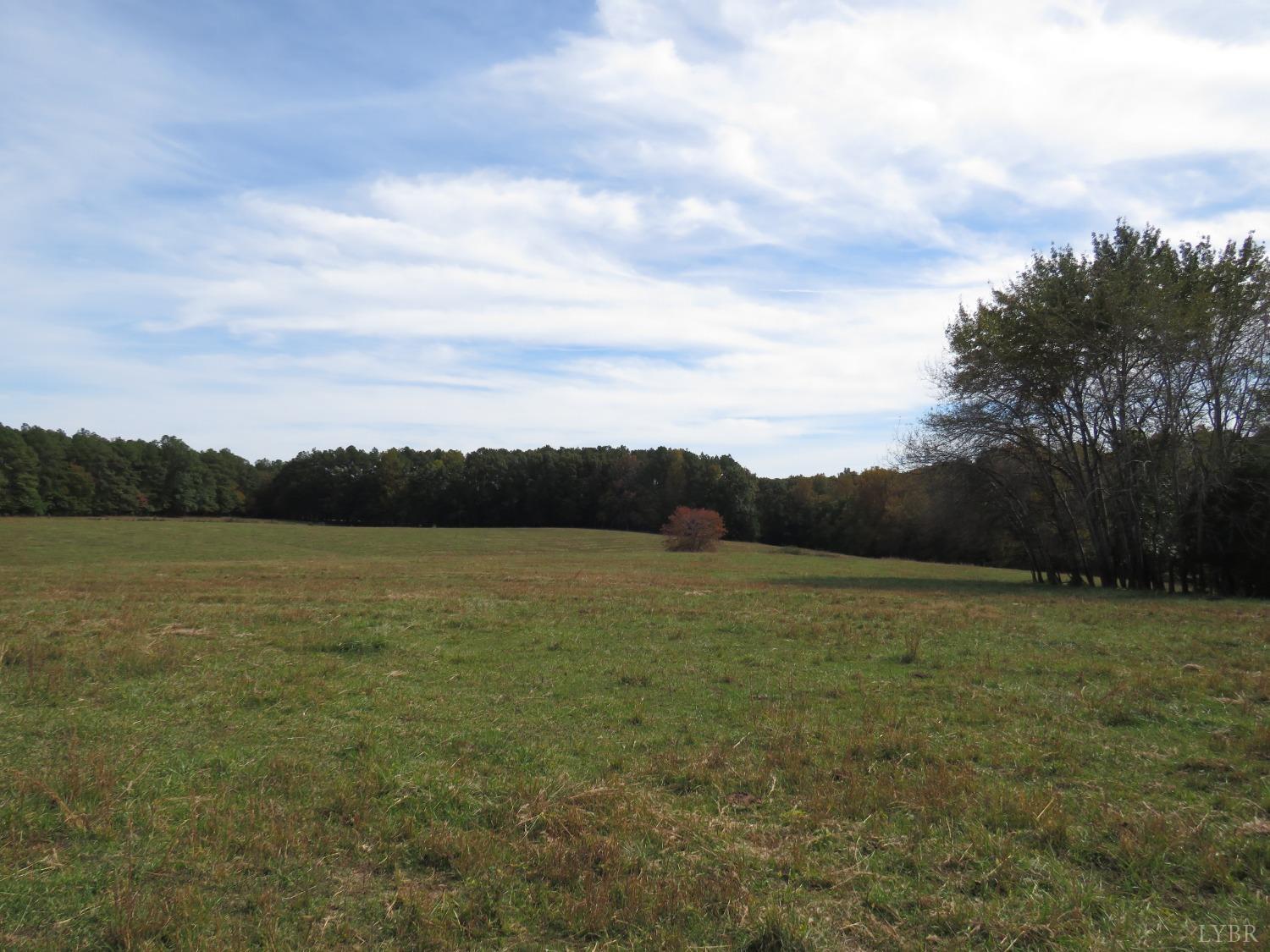 14324 Red House Road Concord, VA 24538 - Photo 38 of 90