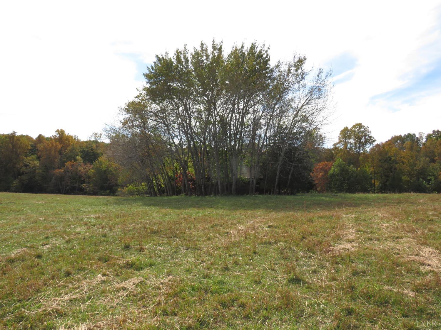 14324 Red House Road Concord, VA 24538 - Photo 39 of 90 a view of a field with trees in the background