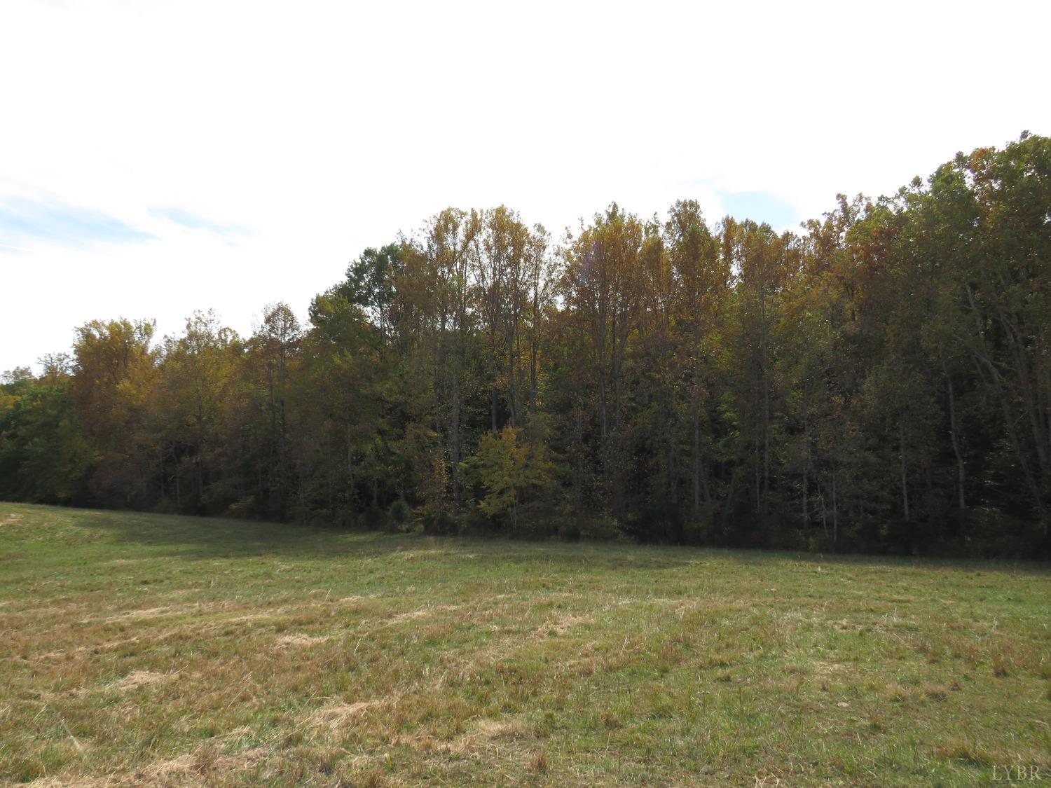 14324 Red House Road Concord, VA 24538 - Photo 40 of 90