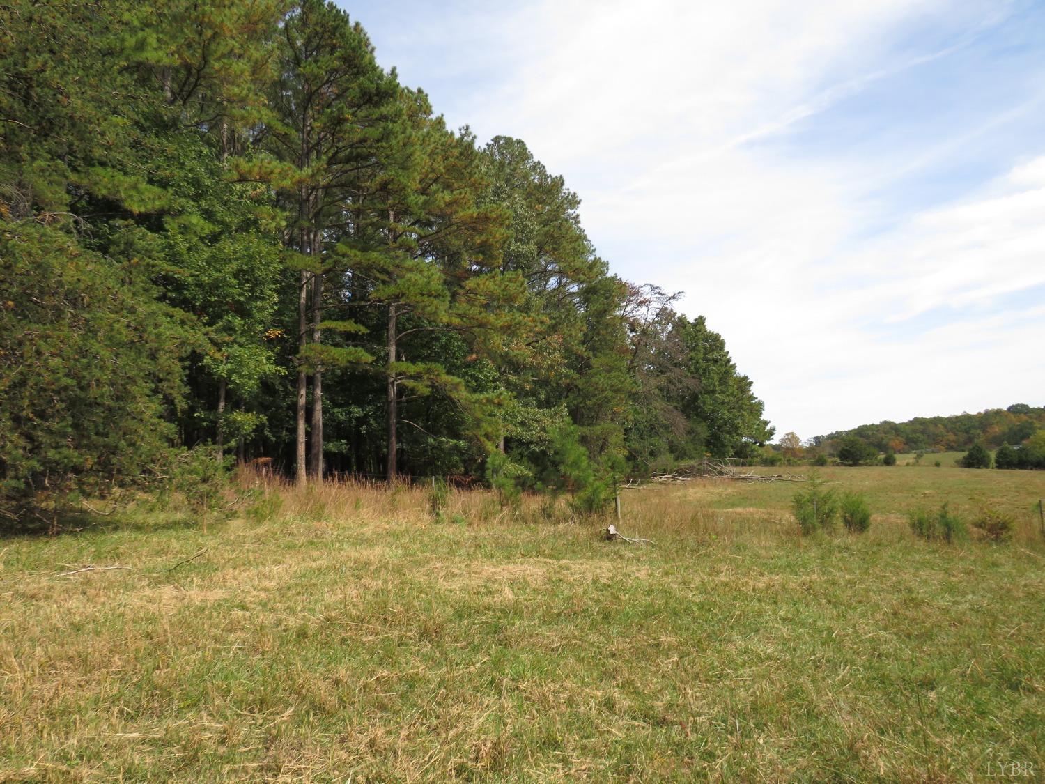 14324 Red House Road Concord, VA 24538 - Photo 44 of 90