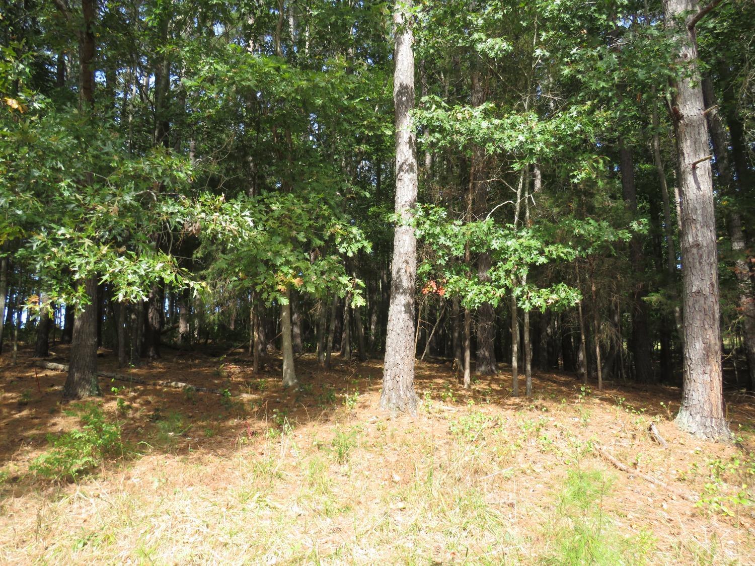 14324 Red House Road Concord, VA 24538 - Photo 46 of 90