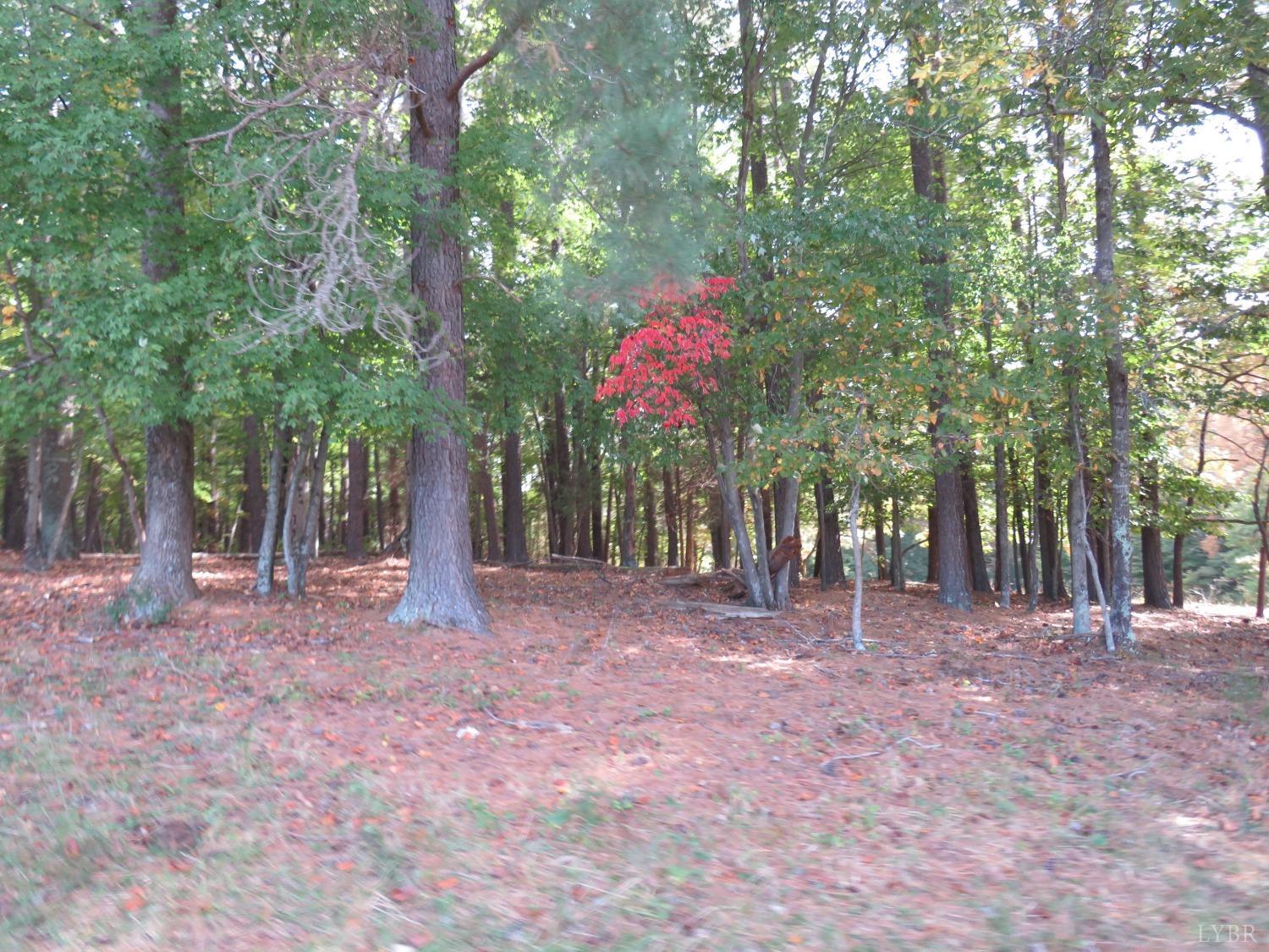14324 Red House Road Concord, VA 24538 - Photo 47 of 90 a backyard of a house with lots of green space