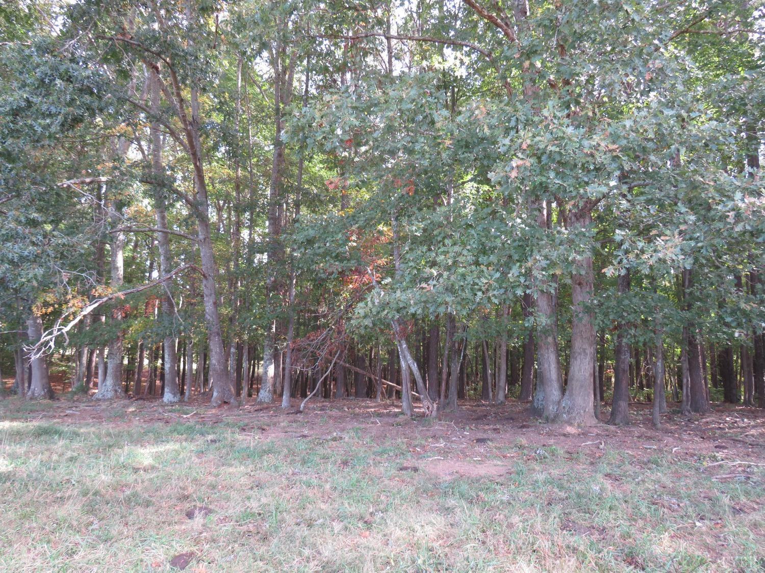 14324 Red House Road Concord, VA 24538 - Photo 48 of 90