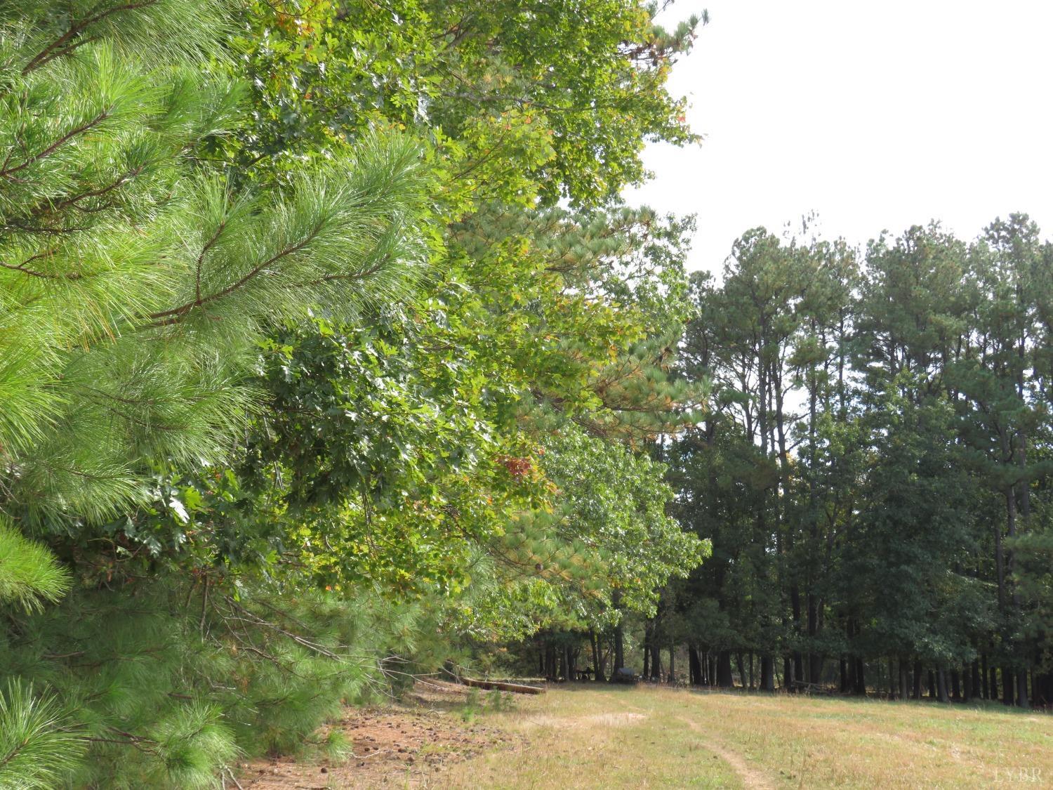 14324 Red House Road Concord, VA 24538 - Photo 50 of 90