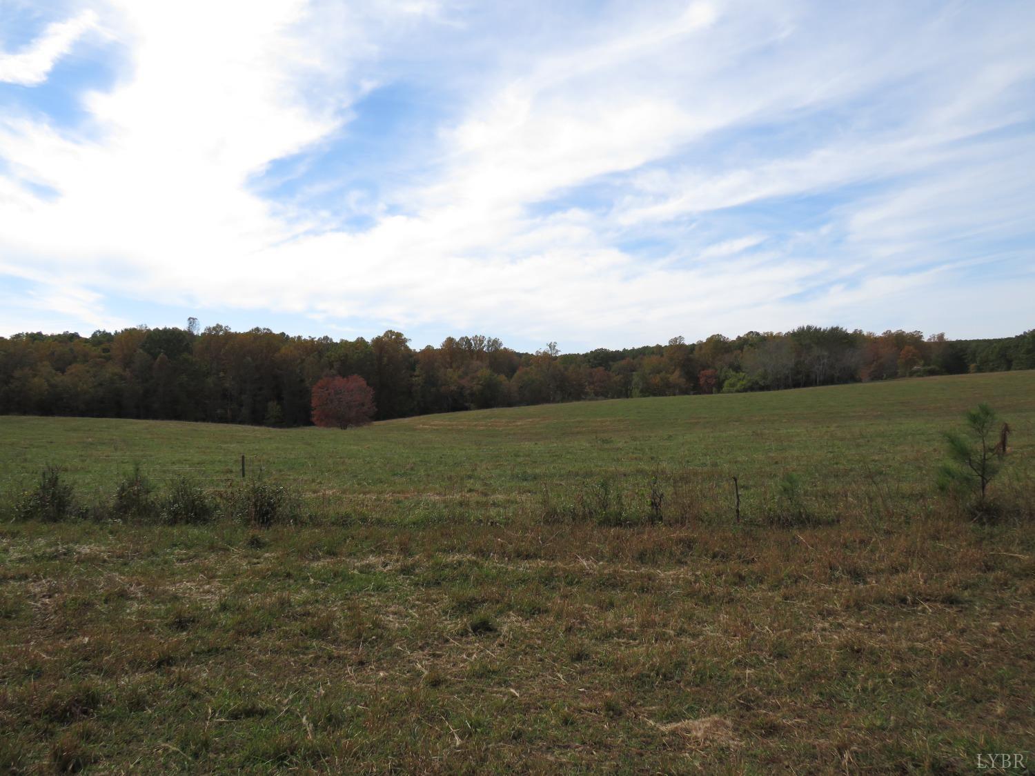 14324 Red House Road Concord, VA 24538 - Photo 51 of 90