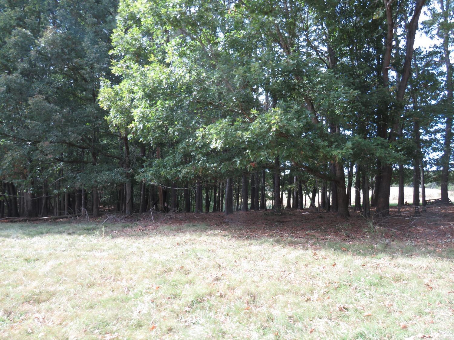 14324 Red House Road Concord, VA 24538 - Photo 53 of 90