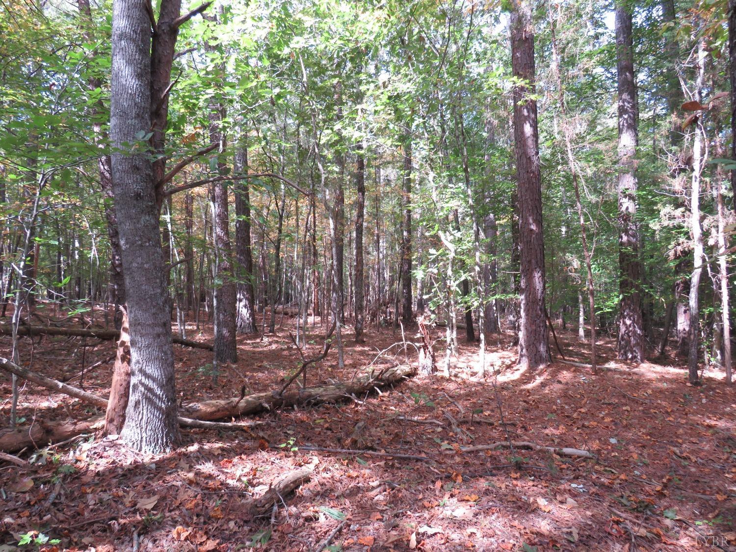 14324 Red House Road Concord, VA 24538 - Photo 54 of 90 a view of outdoor space with lots of trees