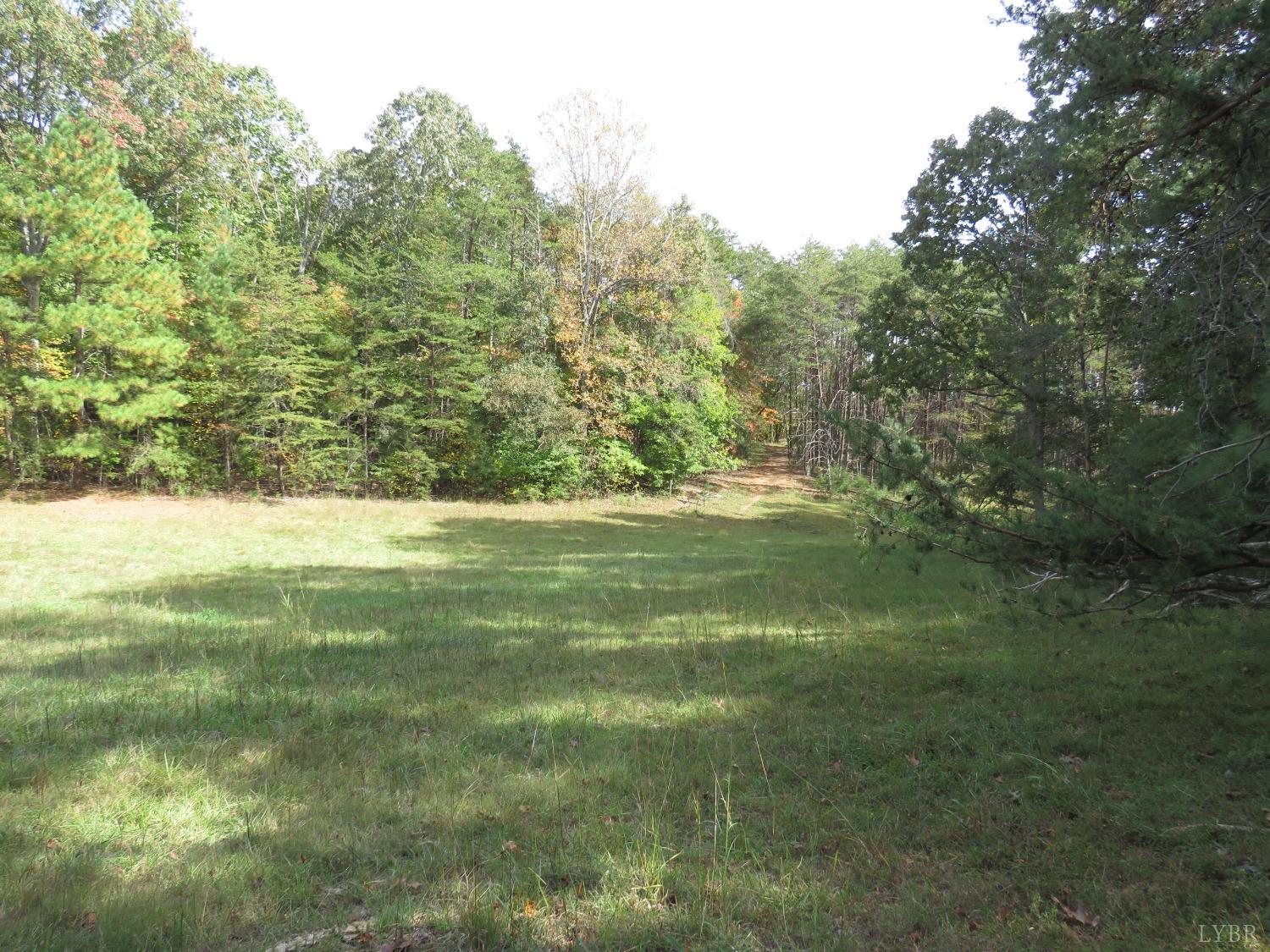 14324 Red House Road Concord, VA 24538 - Photo 55 of 90