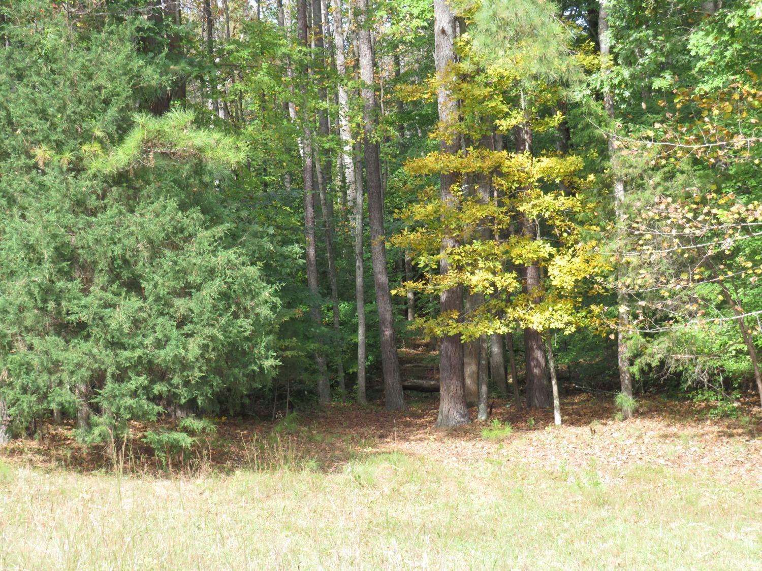 14324 Red House Road Concord, VA 24538 - Photo 56 of 90