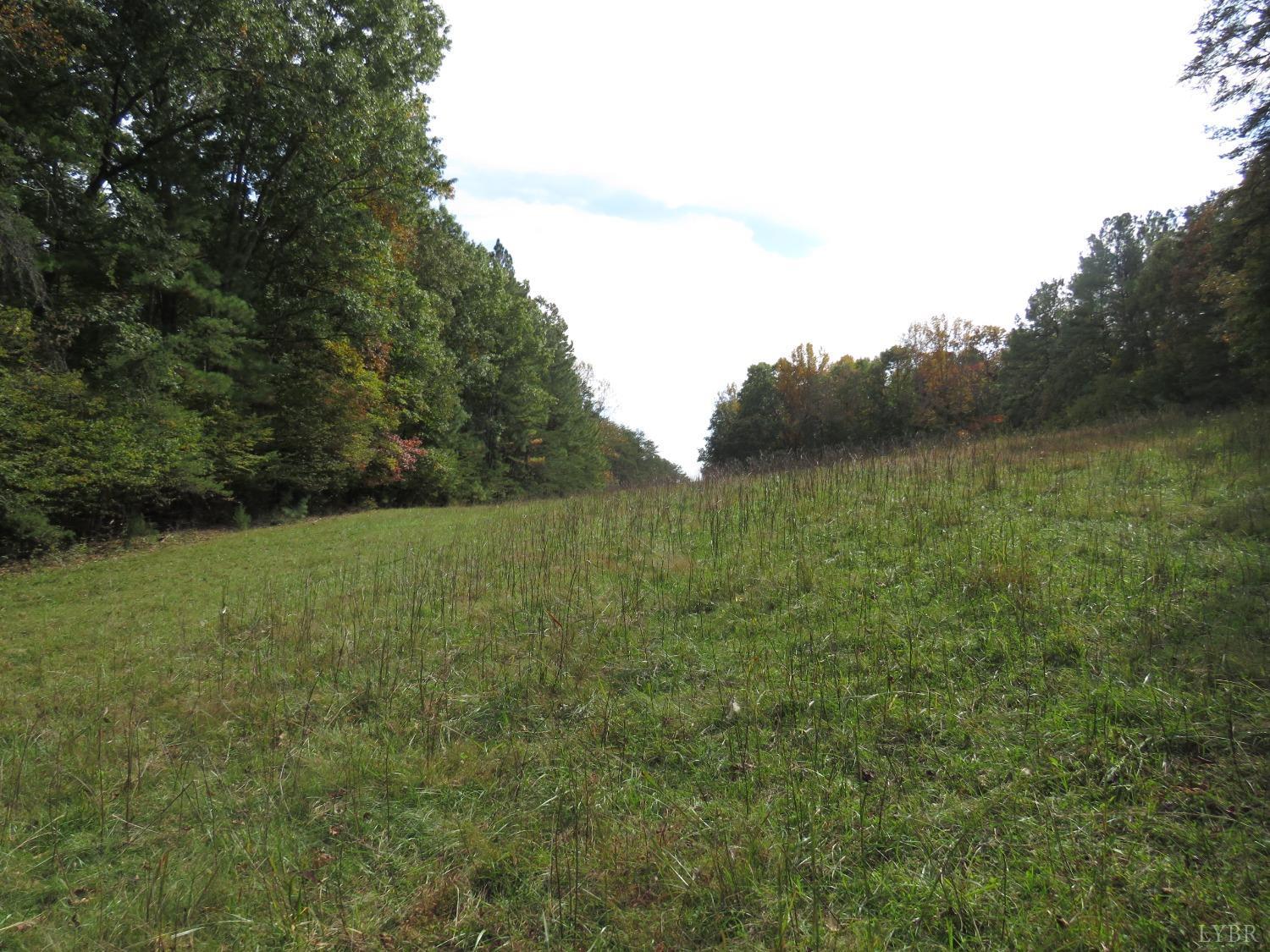 14324 Red House Road Concord, VA 24538 - Photo 57 of 90