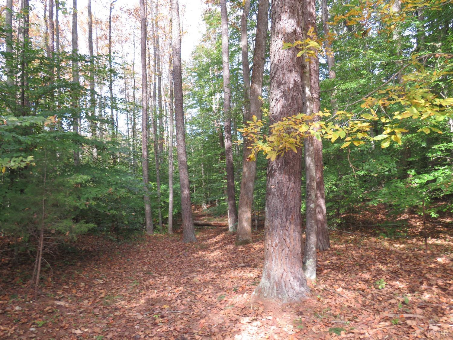14324 Red House Road Concord, VA 24538 - Photo 58 of 90