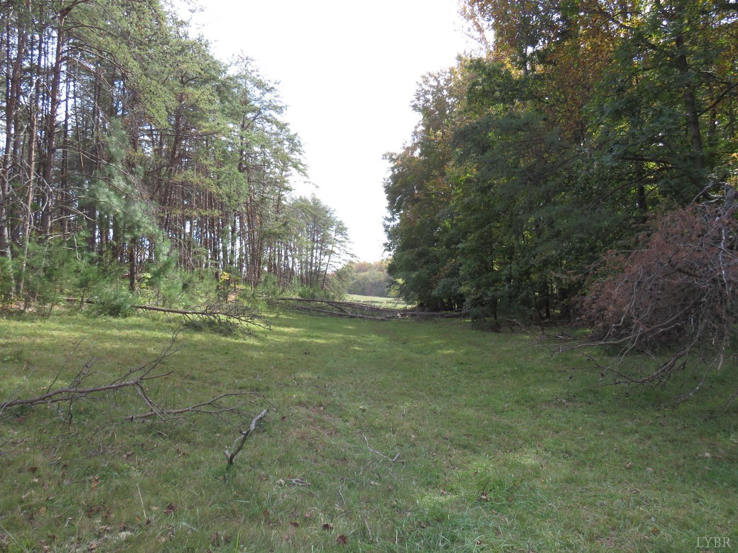 14324 Red House Road Concord, VA 24538 - Photo 59 of 90