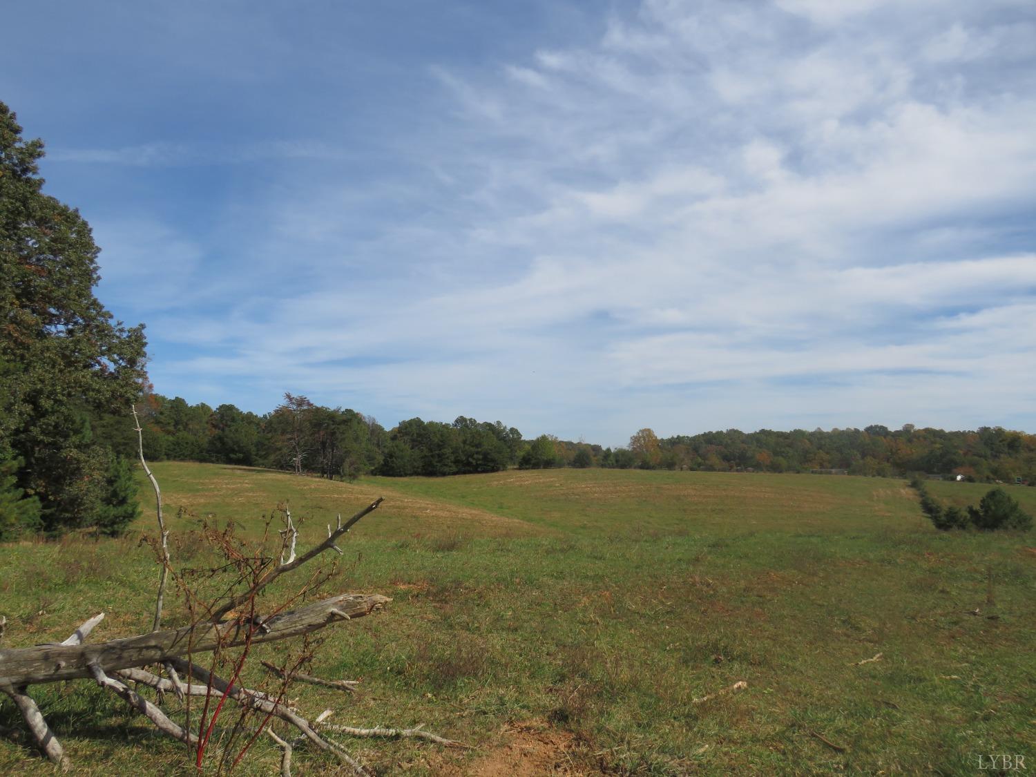 14324 Red House Road Concord, VA 24538 - Photo 60 of 90