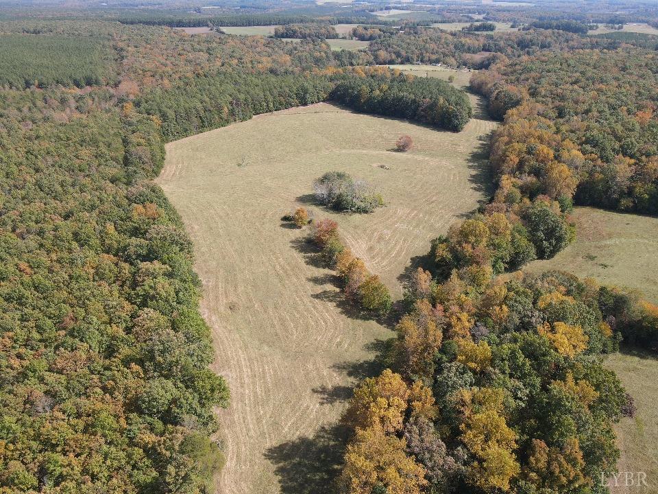 14324 Red House Road Concord, VA 24538 - Photo 6 of 90
