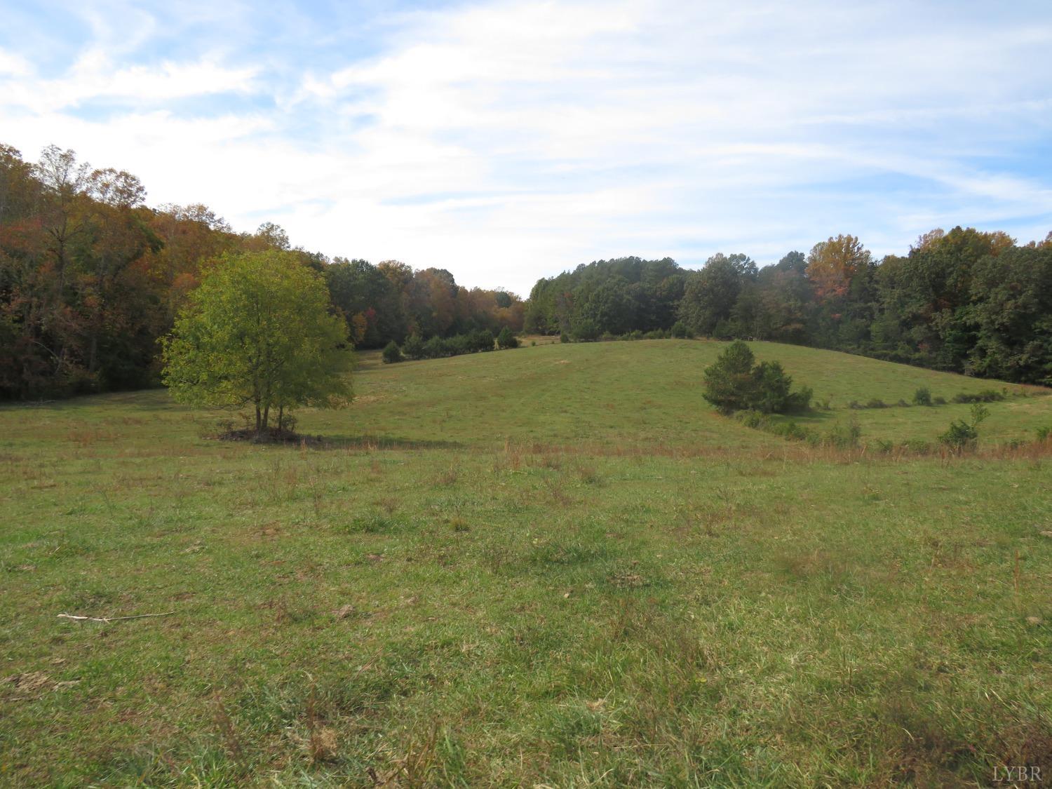 14324 Red House Road Concord, VA 24538 - Photo 65 of 90