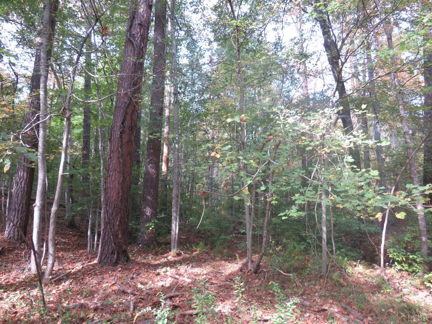 14324 Red House Road Concord, VA 24538 - Photo 66 of 90 a view of outdoor space and green space