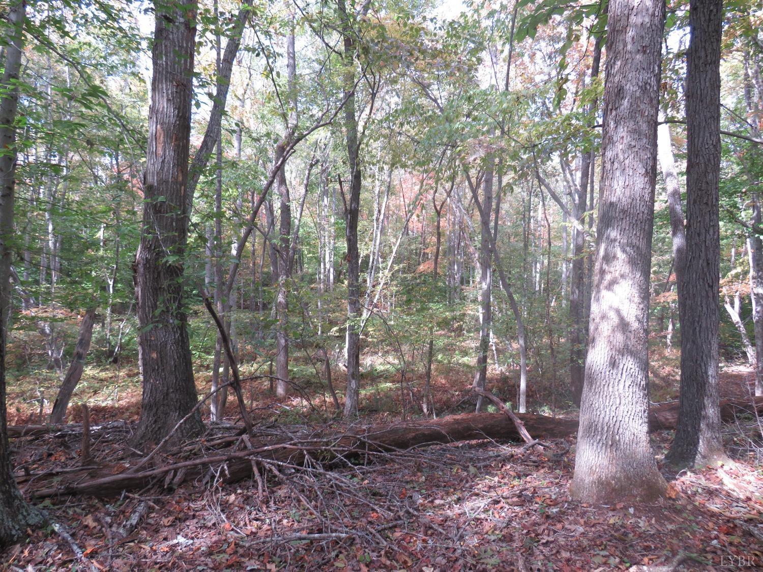 14324 Red House Road Concord, VA 24538 - Photo 68 of 90 a backyard of a house with lots of green space