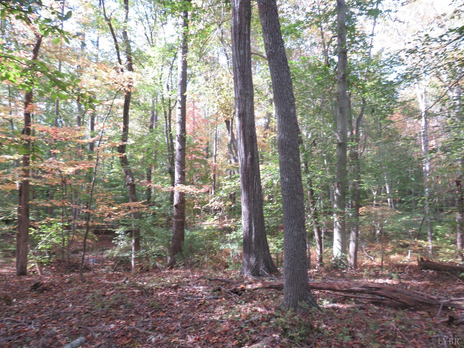 14324 Red House Road Concord, VA 24538 - Photo 69 of 90