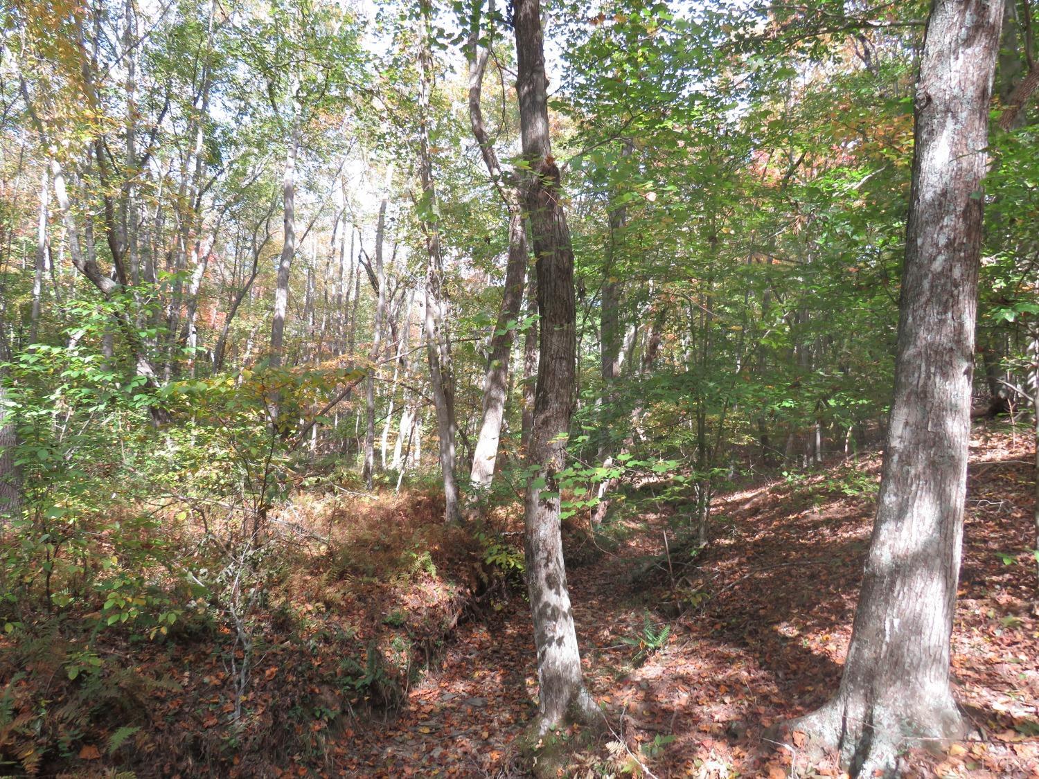 14324 Red House Road Concord, VA 24538 - Photo 70 of 90