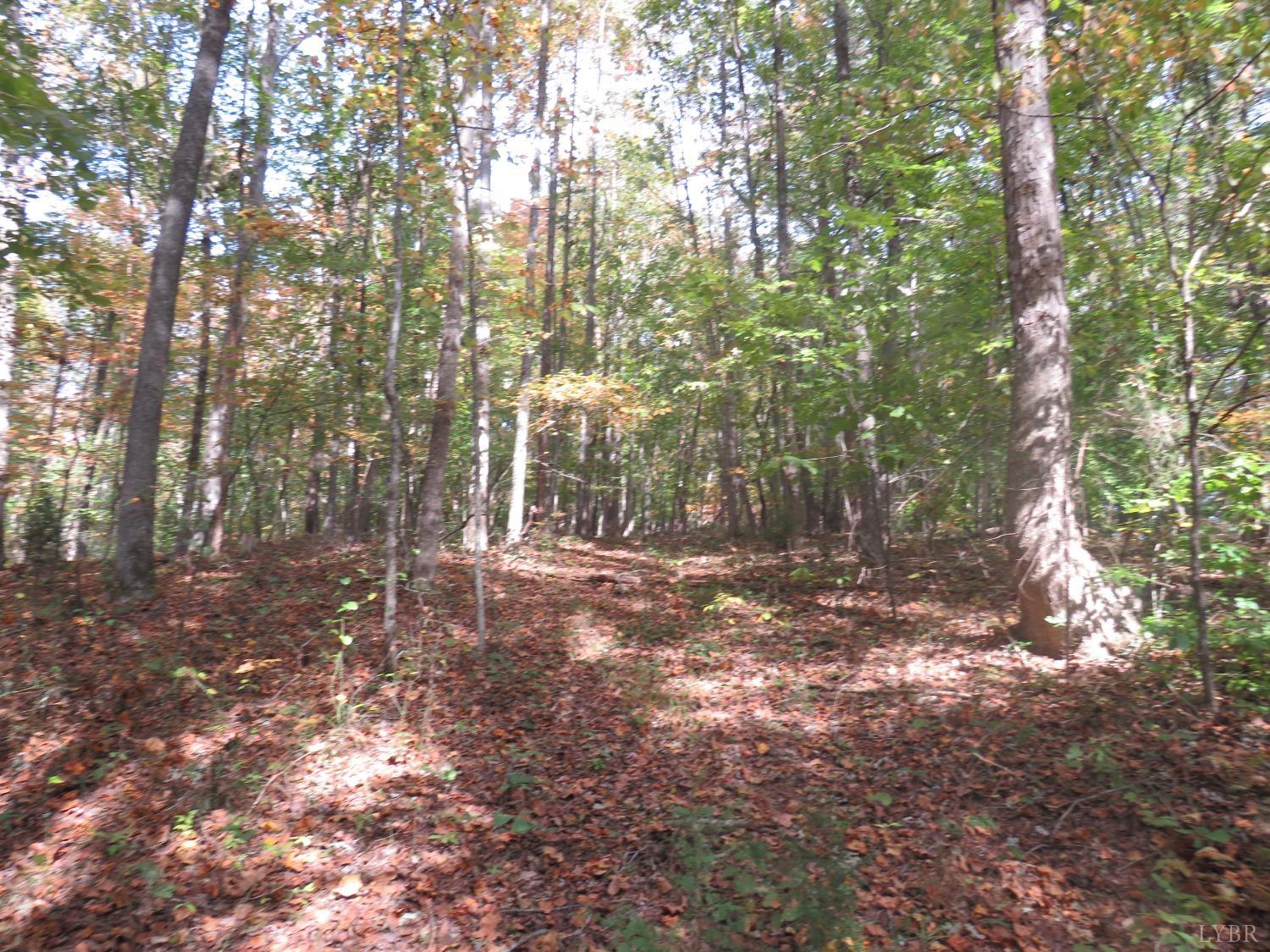 14324 Red House Road Concord, VA 24538 - Photo 71 of 90 a backyard of a house with lots of green space