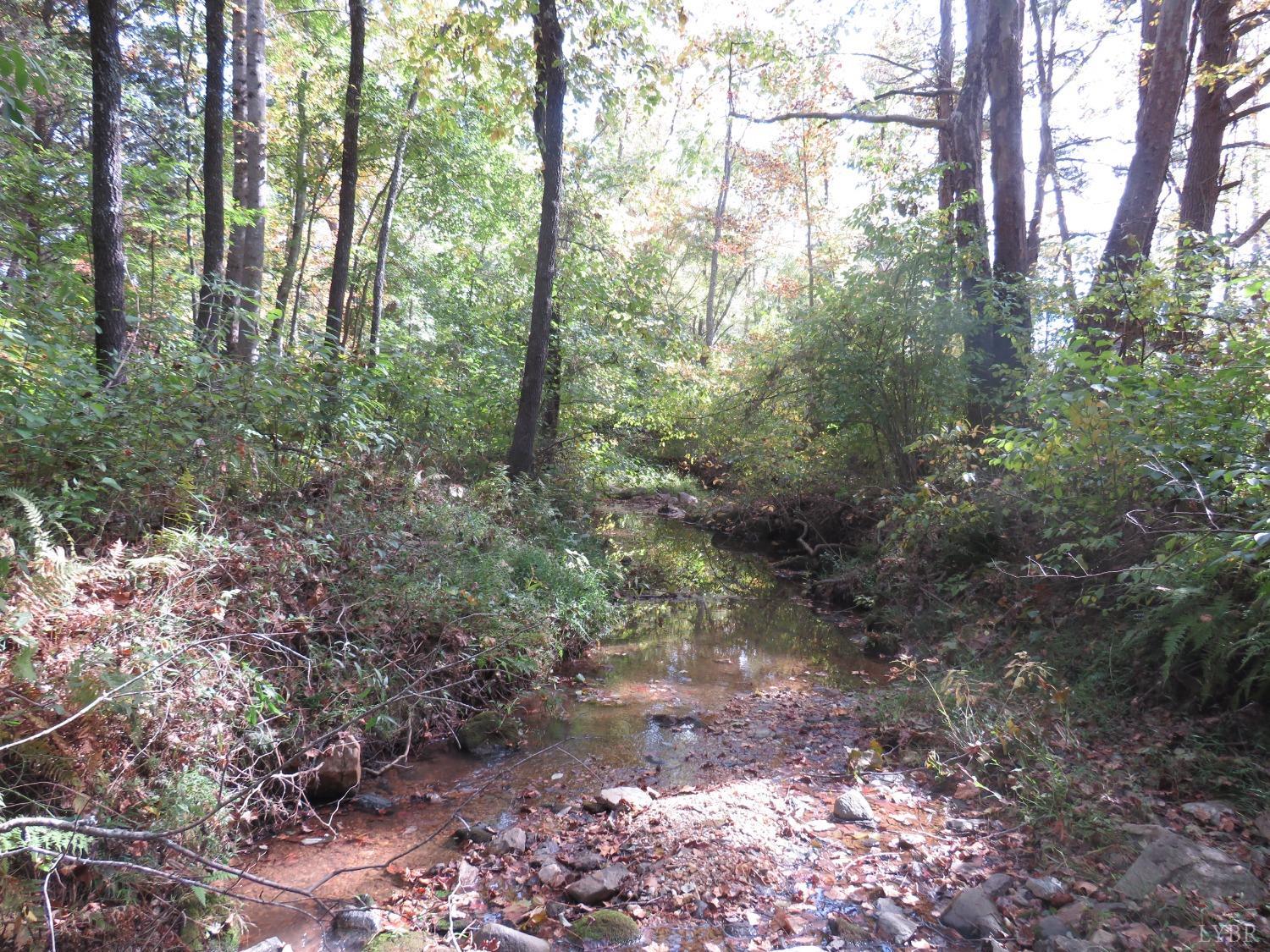14324 Red House Road Concord, VA 24538 - Photo 73 of 90 a view of a forest with trees in the background