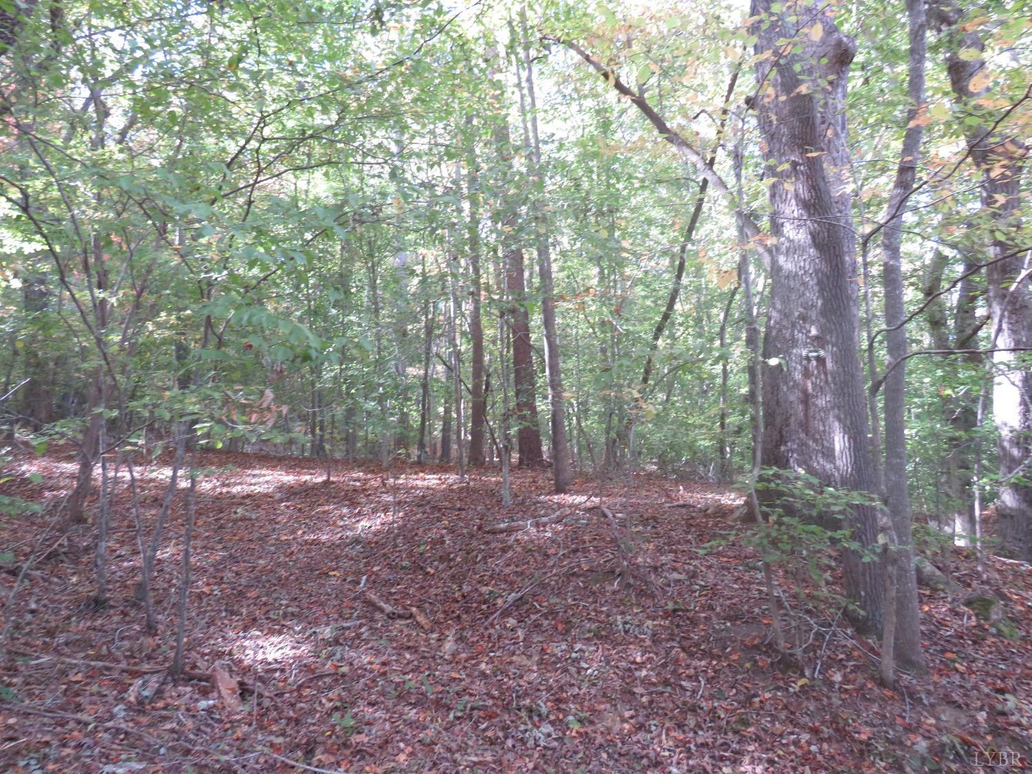 14324 Red House Road Concord, VA 24538 - Photo 80 of 90 a view of a forest with trees in the background