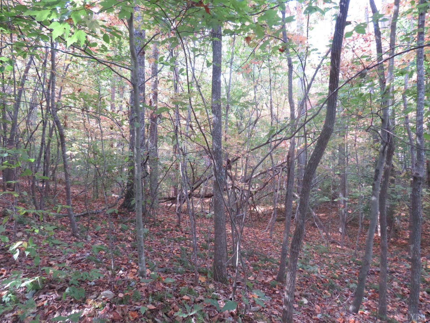 14324 Red House Road Concord, VA 24538 - Photo 85 of 90