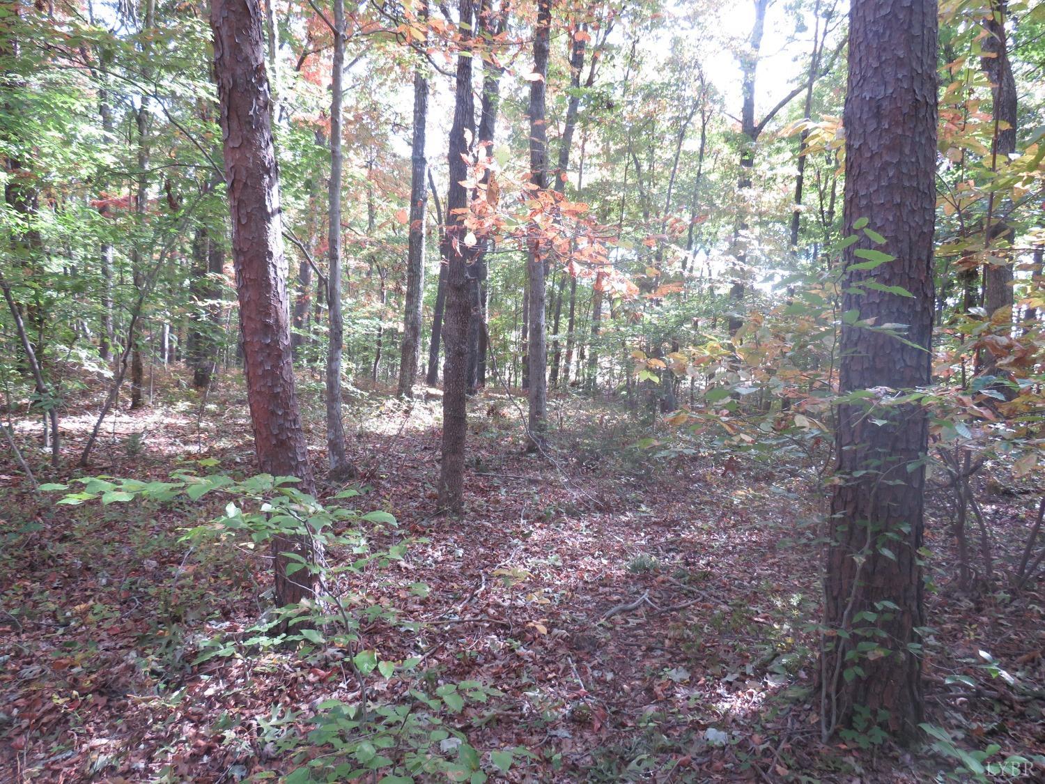 14324 Red House Road Concord, VA 24538 - Photo 86 of 90