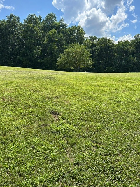397 Star Point Road Celina, TN 38551 - Photo 32 of 59 Gallery Image 32