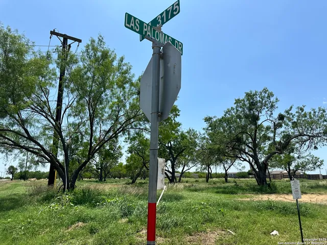 a view of backyard with green space