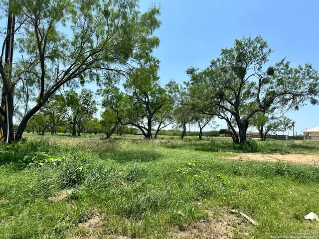 a view of grassy field with benches