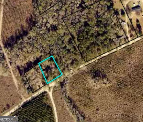 $10,000 | Colesburg-tompk Colesburg Tompkins Road, Woodbine, GA 31569