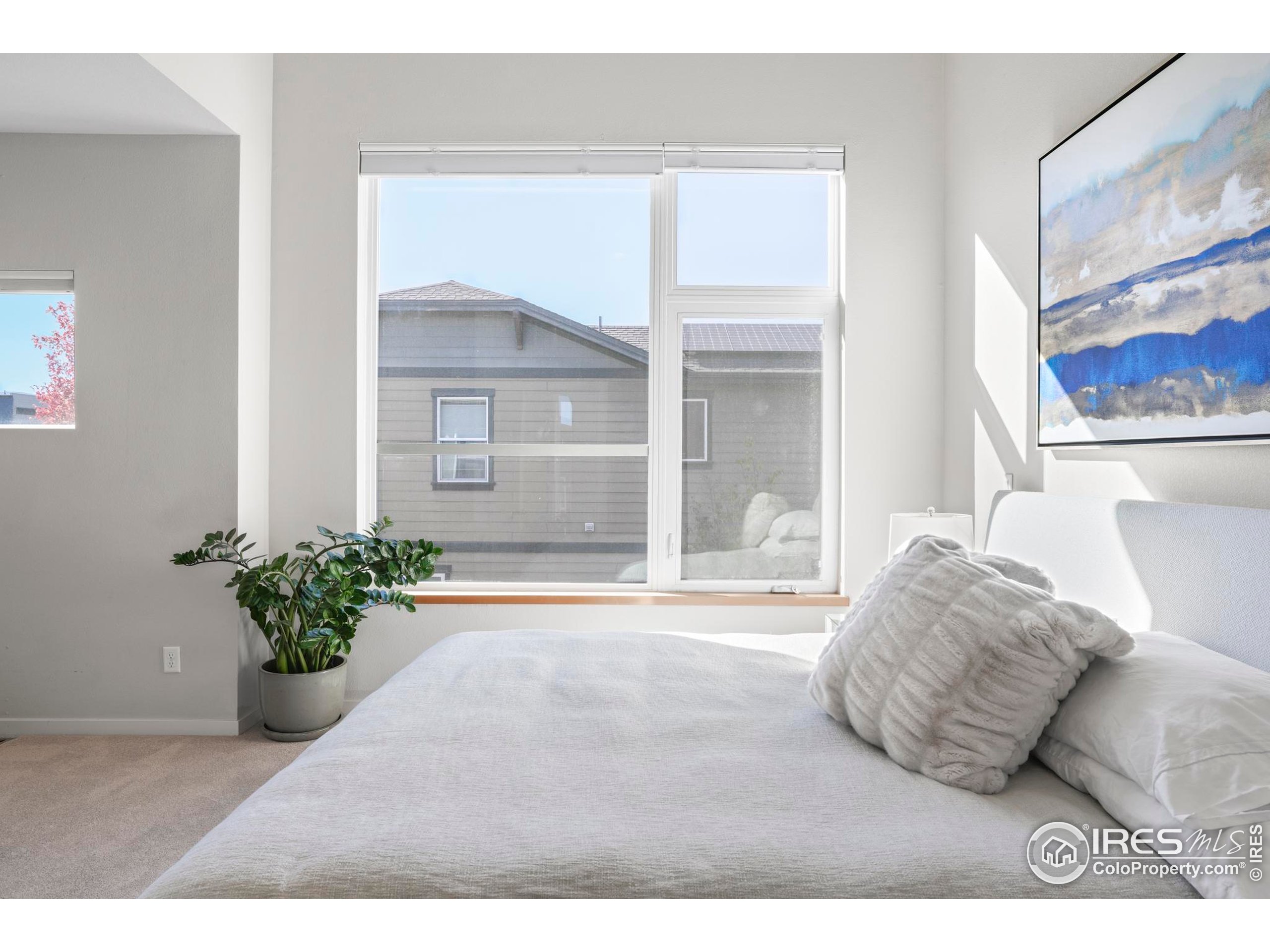 4190 Longview Lane Boulder, CO 80301 - Photo 18 of 25 a living room with furniture and a potted plant