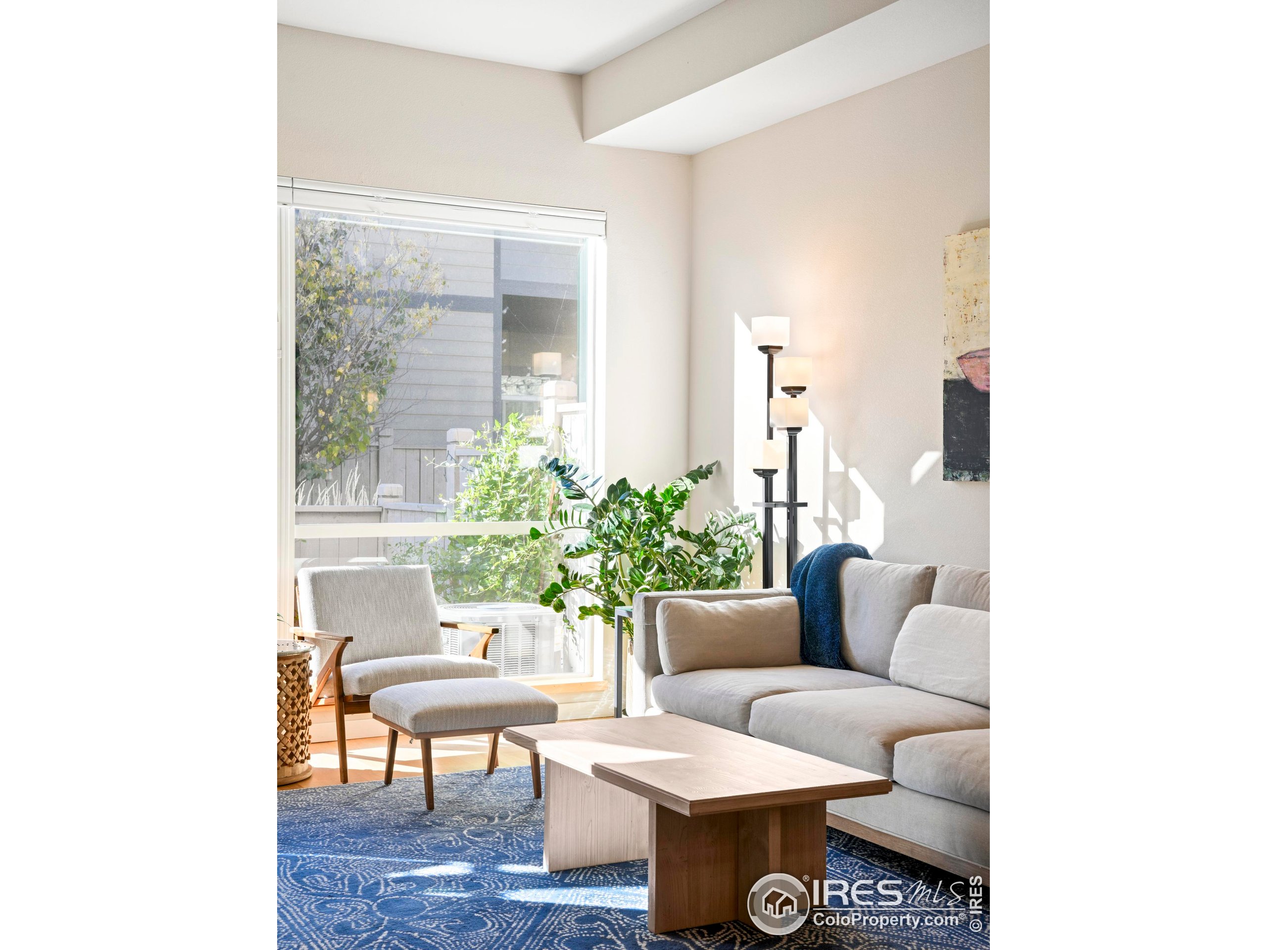 4190 Longview Lane Boulder, CO 80301 - Photo 6 of 25 a living room with furniture and a potted plant