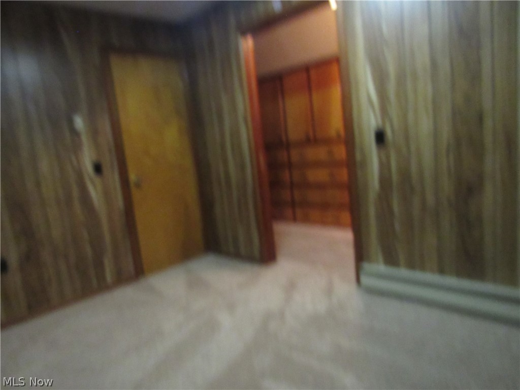 40430 Webster Road Lagrange, OH 44050 - Photo 17 of 32 Gallery Image 17