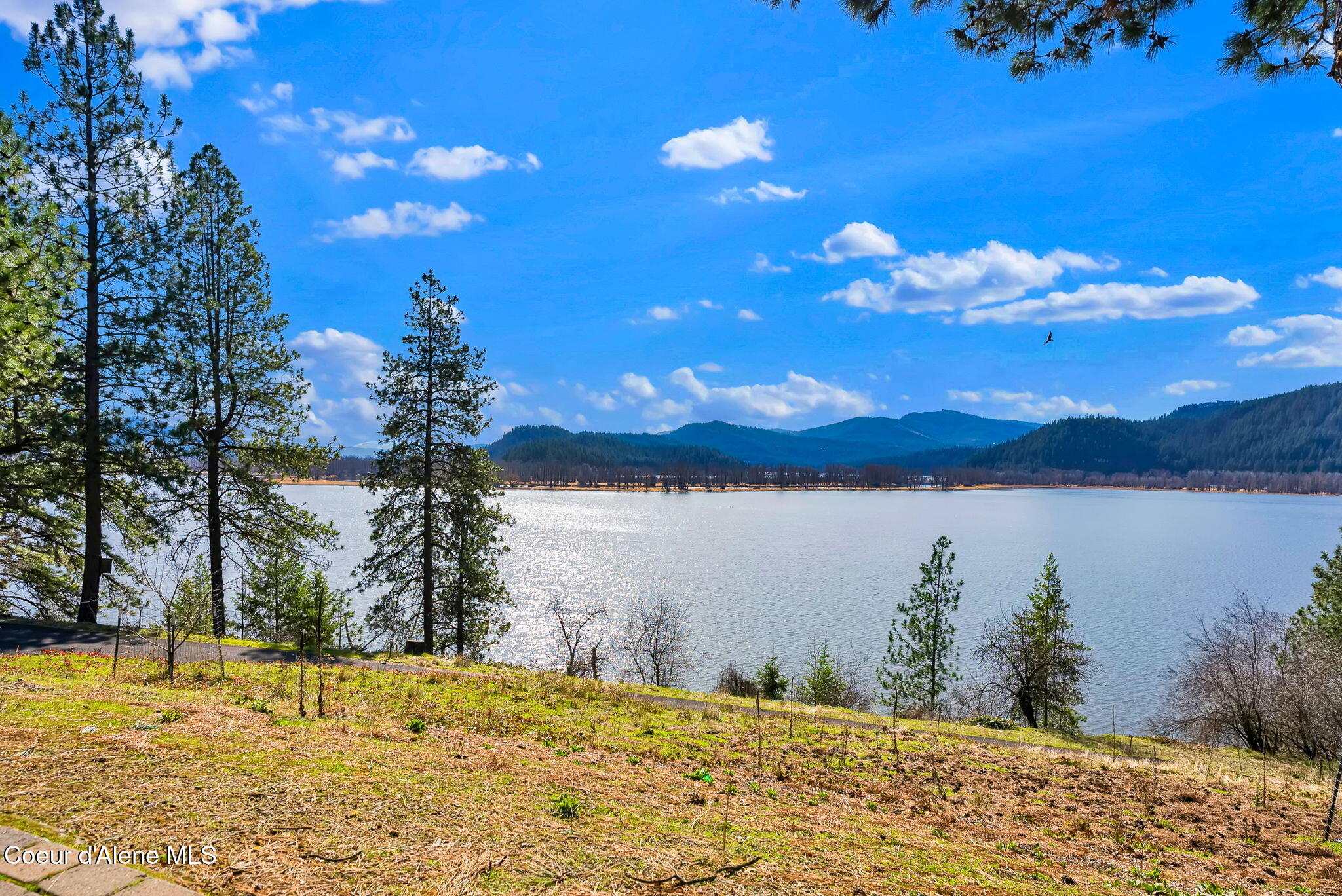 1611 Round Lake Road St. Maries, ID 83861 - Photo 13 of 109 1611 Round Lake