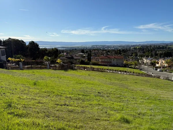 a view of a yard with an outdoor space