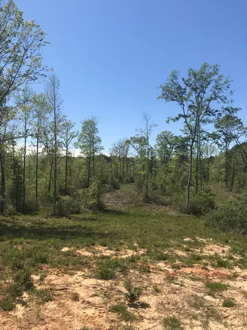 $135,000 | 3100 Willow Lane Southeast, Bogue Chitto, MS 39629