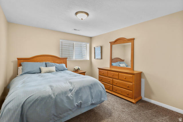 832 East Cedarview Street Tooele, UT 84074 - Photo 44 of 67