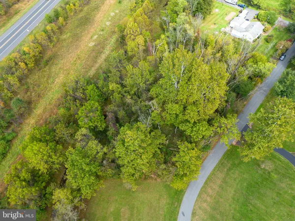 a view of a big yard