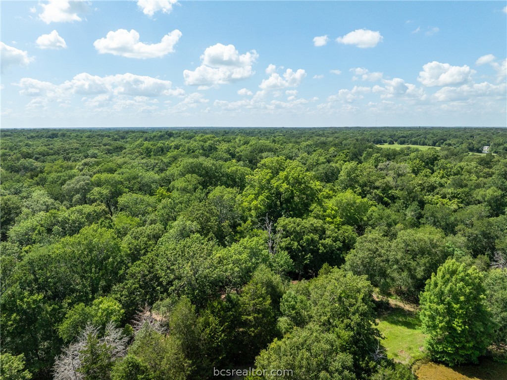 Tbd Weber Road Bryan, TX 77808 - Photo 41 of 43
