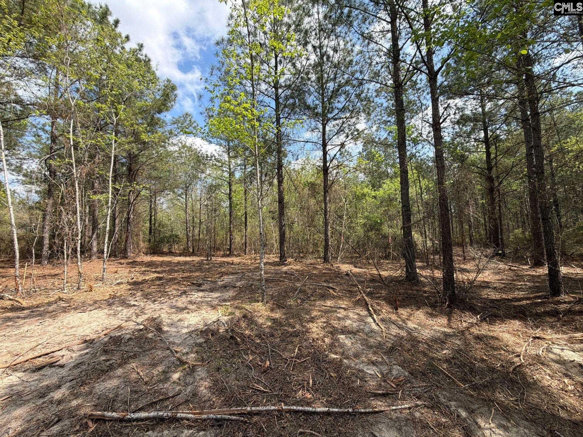 3 Mt Calvary Rd Ridge Spring Ridge Spring, SC 29129 - Photo 22 of 27