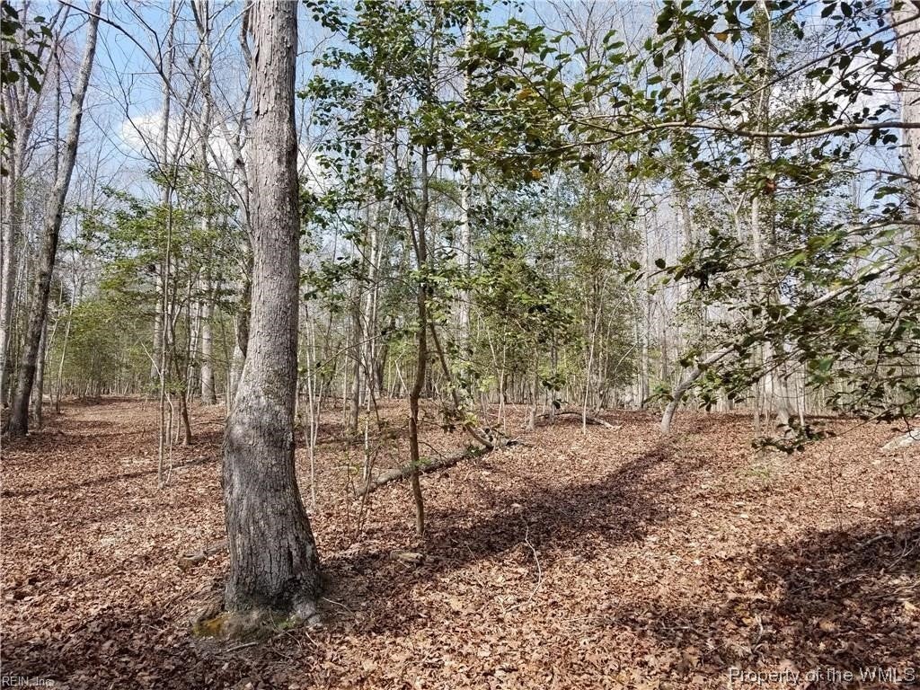 Lot 12 Lees Neck Farm Road Saluda, VA 23149 - Photo 4 of 5 Gallery Image 4