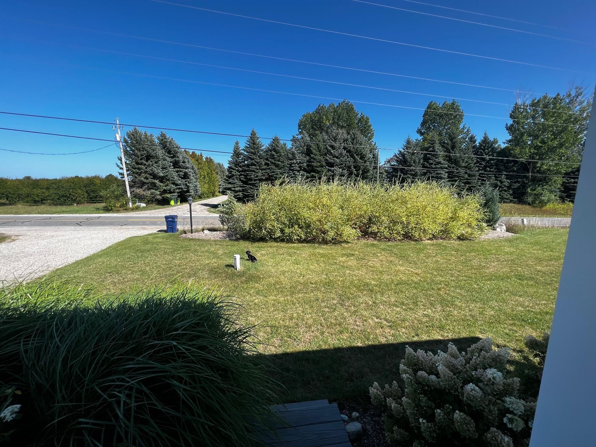 9741 Bates Road Williamsburg, MI 49690 - Photo 2 of 36
