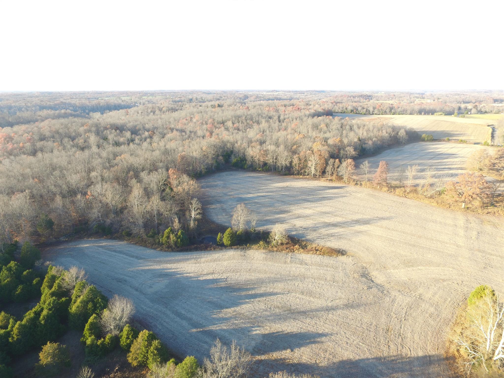 265 Pea Ridge Road Westmoreland, TN 37186 - Photo 11 of 19 Gallery Image 11